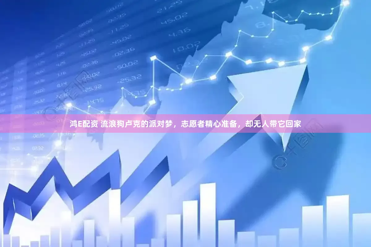 鸿E配资 流浪狗卢克的派对梦，志愿者精心准备，却无人带它回家