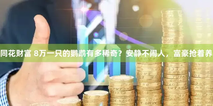 同花财富 8万一只的鹦鹉有多稀奇？安静不闹人，富豪抢着养
