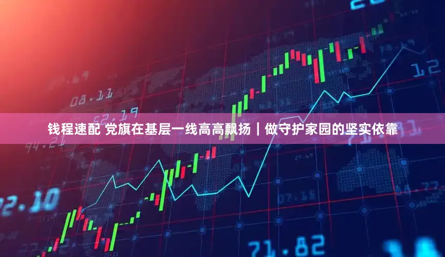 钱程速配 党旗在基层一线高高飘扬｜做守护家园的坚实依靠