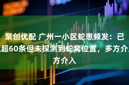 聚创优配 广州一小区蛇患频发：已抓超60条但未探测到蛇窝位置，多方介入