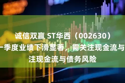 诚信双赢 ST华西（002630）2025年一季度业绩下滑显著，需关注现金流与债务风险